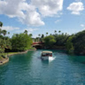 Meet your Posher, Tammy